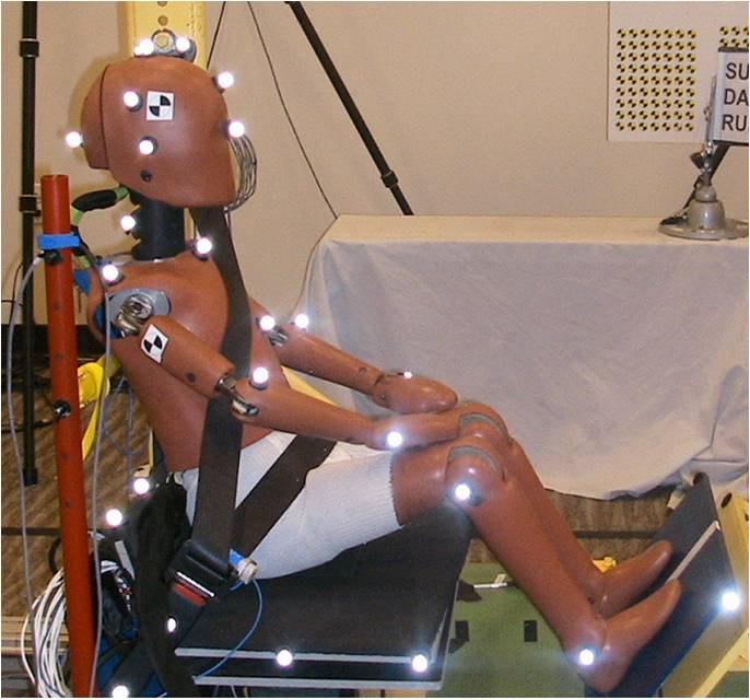 a dummy on a sled to research ways to protect children and adolescents in car crashes.